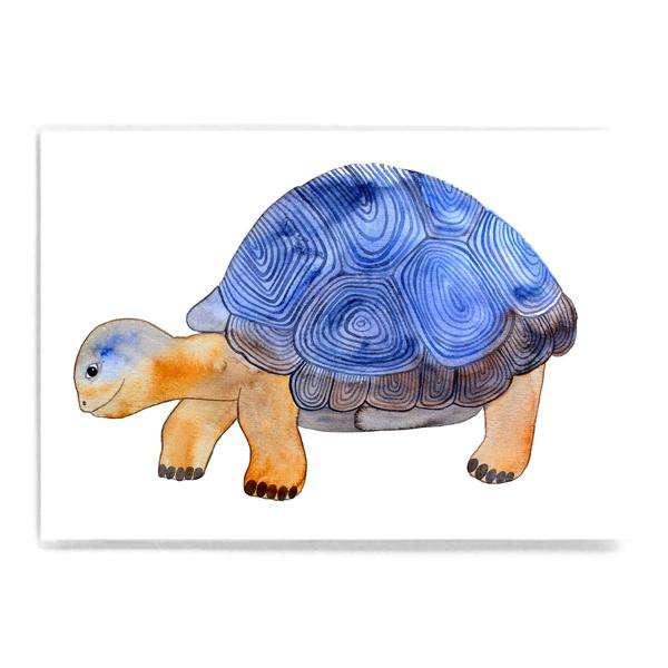 Postkarte "Schildkröte"